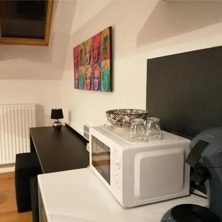 Appartement Luxury Pop-art Charleroi